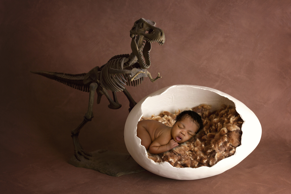 baby sleeping in a dinosaur egg